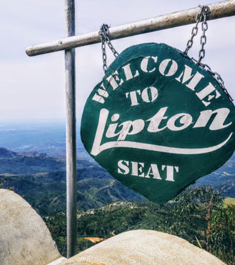 Lipton's Seat